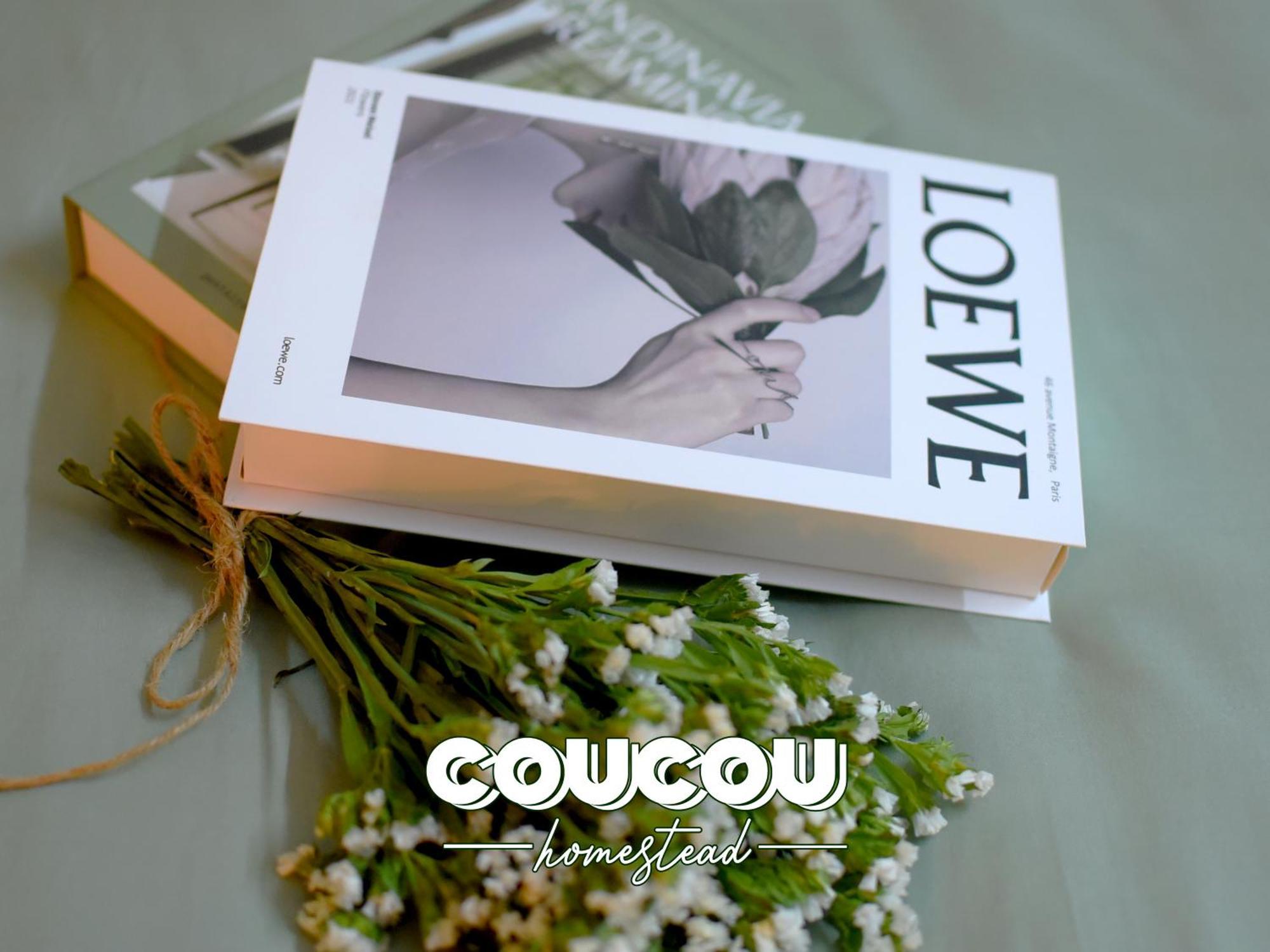 Khách sạn hẻo lánh Coucou Homestead Ii - Homestay Quan 1